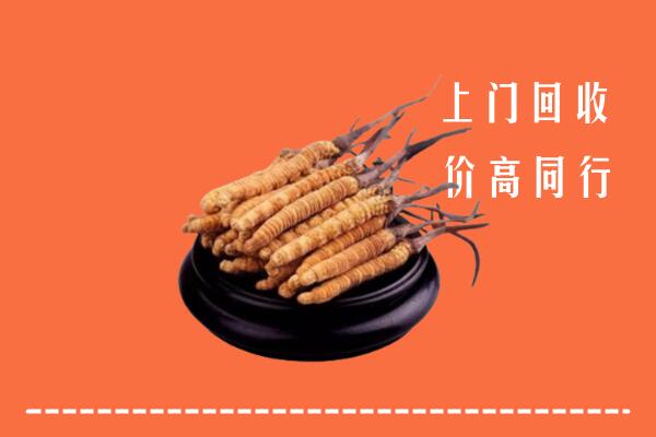 高价求购：毕节回收散虫草