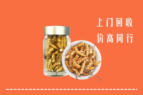 毕节高价回收冬虫夏草